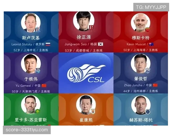 瑞士队2026世界杯阵容预测：核心球员伤停影响几何