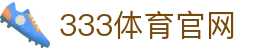 333体育 (333 Sports) APP - 极致稳定的移动体育平台